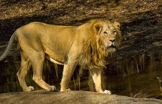 1467782636_1sas 2.jpg